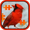 Lively Bird Magic Jigsaw Puzzle Game For Kids