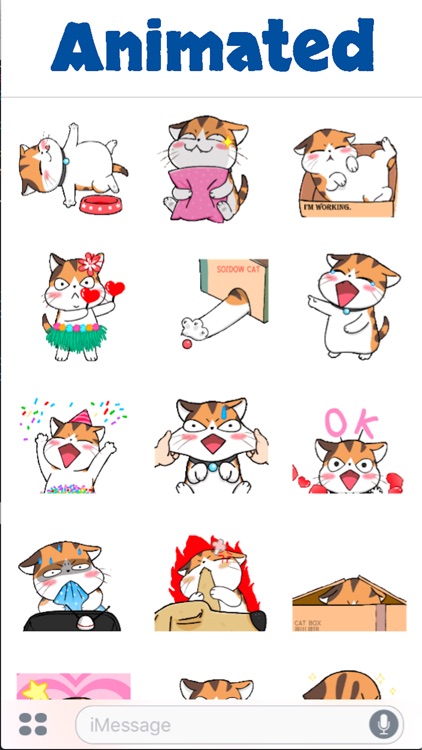 Cute Meow Animated