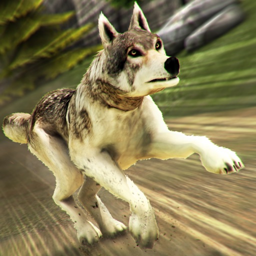 Wolf Simulator Deluxe: Wolves Running Game vs Dogs