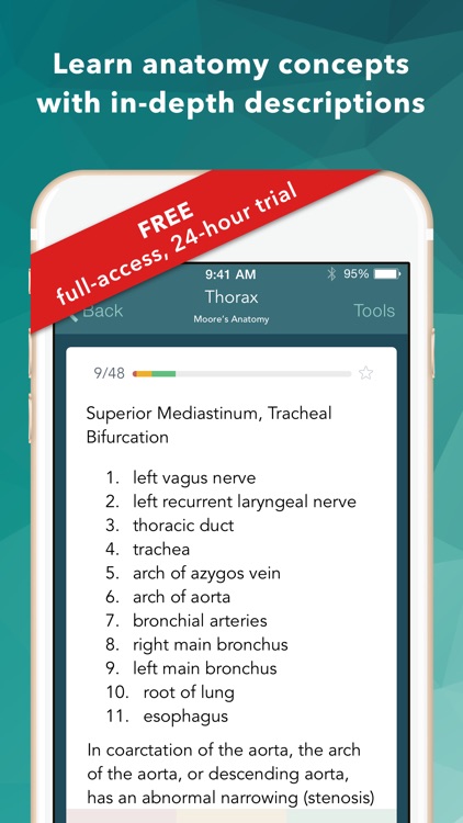 MOORE Clinical Anatomy Flashcards