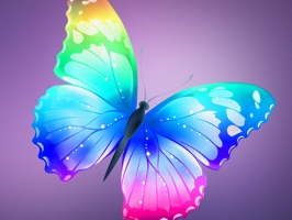 Butterfly Stickers HD