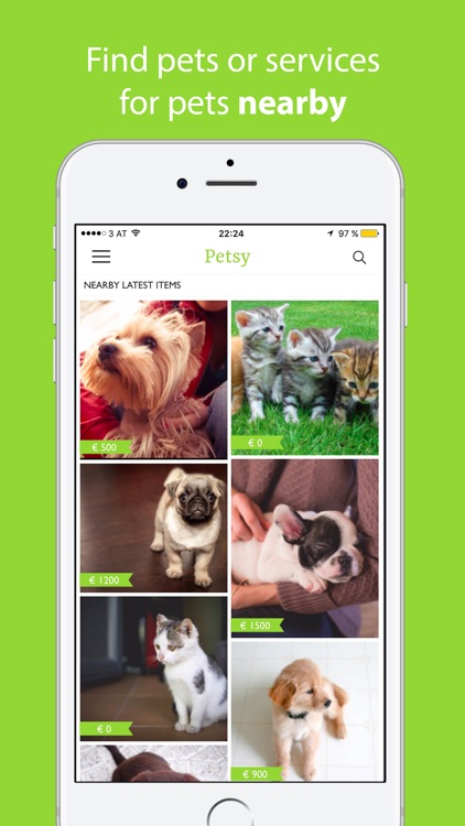 Petsy Marketplace