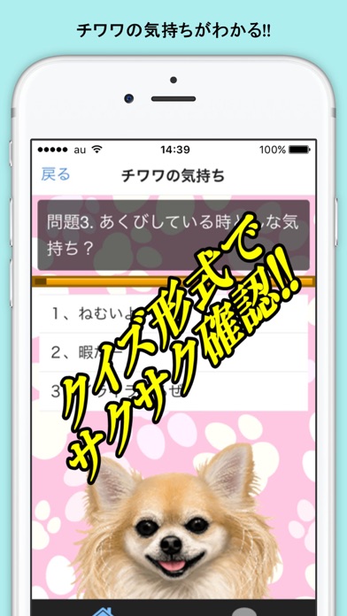 チワワの気持ち 犬と仲良くなる Iphoneアプリランキング