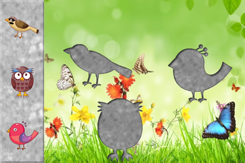 Birds Puzzles for Toddlers and Kids screenshot 2