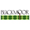 Blackmoor Golf Tee Times