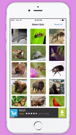 Animals Quiz - Trivia Quiz