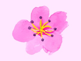 Watercolor Flowers & Gardening sticker pack for iMessage