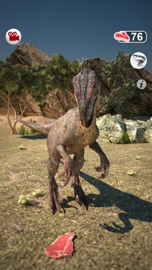 Talking Raptor : My Pet Dinosaur(圖3)-速報App