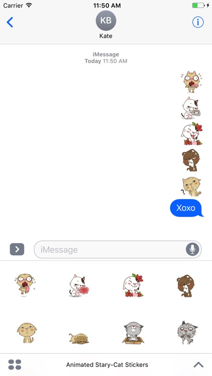 Animated Stary Cat Stickers For iMessage