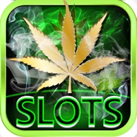 Dream of Weed Slot Machines – Free Slots & Casino apk