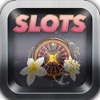 Slots and More - New Slot Machine Game