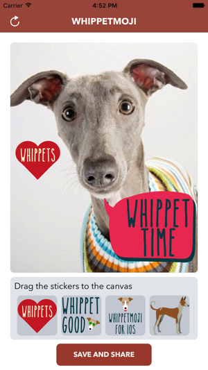 WhippetMoji - Whippet Stickers(圖3)-速報App