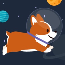 Activities of Space Corgi