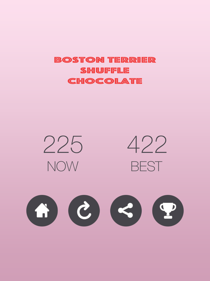Boston Terrier Shuffle Chocolate
