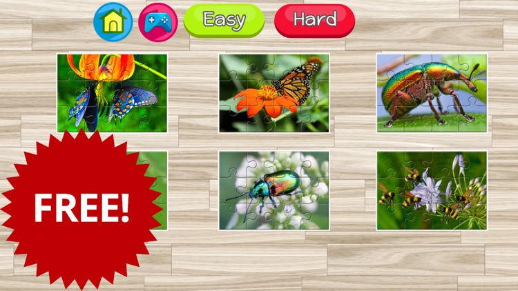 Butterfly and insect jigsaw puzzle games screenshot-3