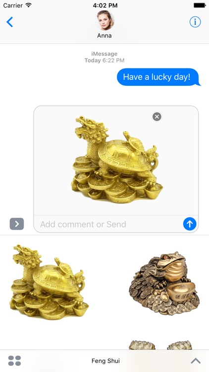 Feng Shui - Lucky Amulets