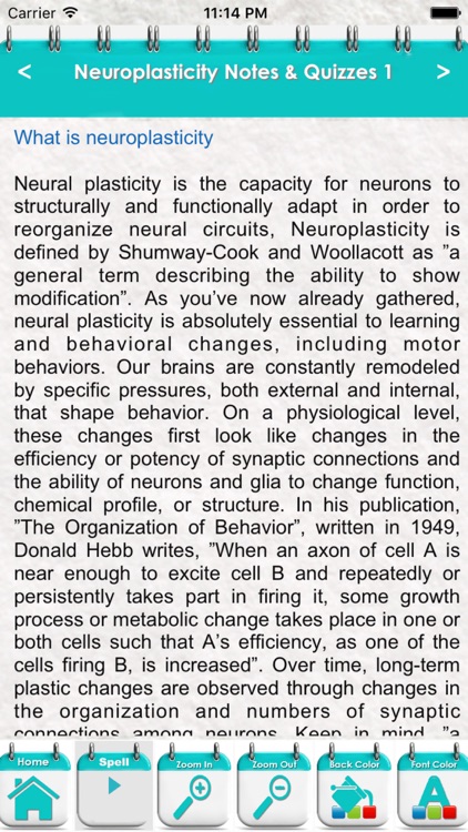 Neuroplasticity Practice Test 3100 Exam Quiz