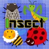 Insect Concentration (game)