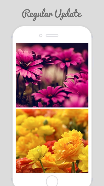HD Flower Wallz - Flowers for Home & Lock Screens screenshot-3