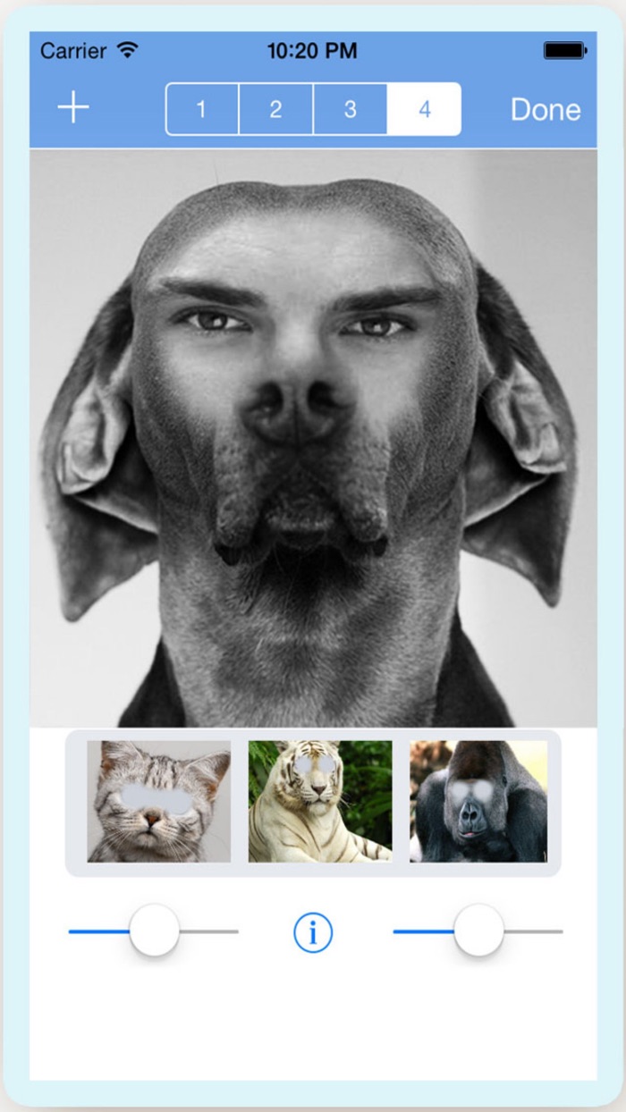 天天表情包P图相机 -  朋友圈专用表情定制