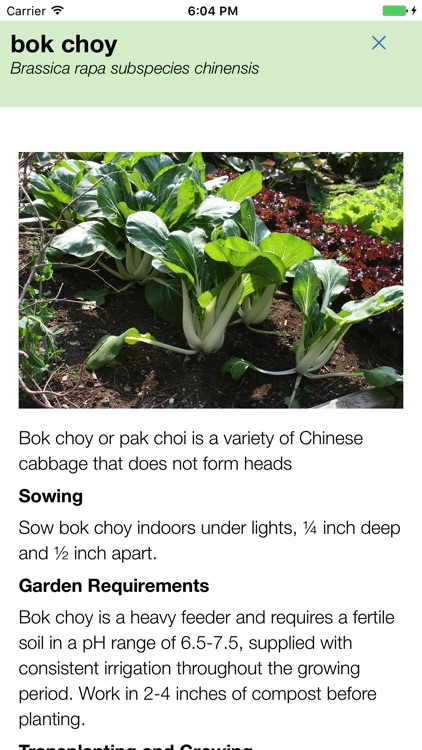 Skippy's Vegetable Planting Calendar