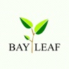 Bay leaf Heanor