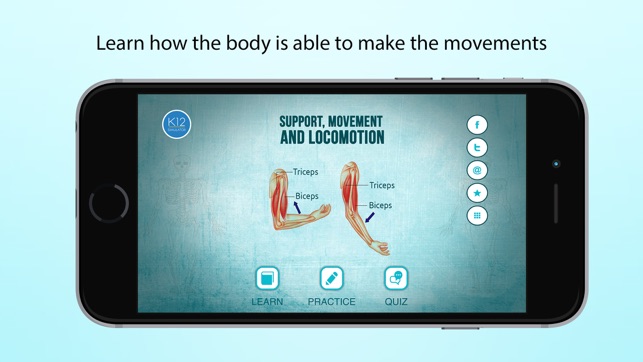 Support, Movement and Locomotion(圖1)-速報App