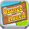 Orange Ranch Bubbles
