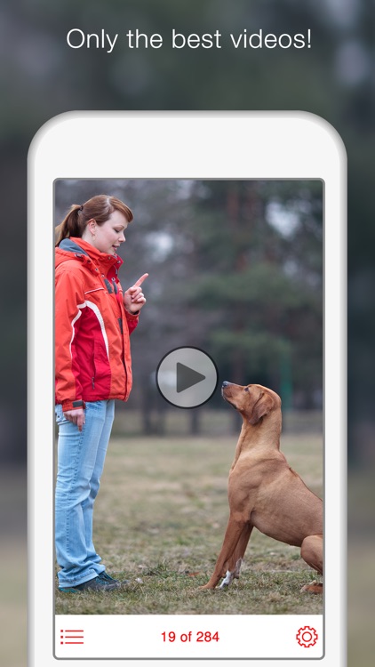 Dog Training School -  Learn How to Train Puppies screenshot-3