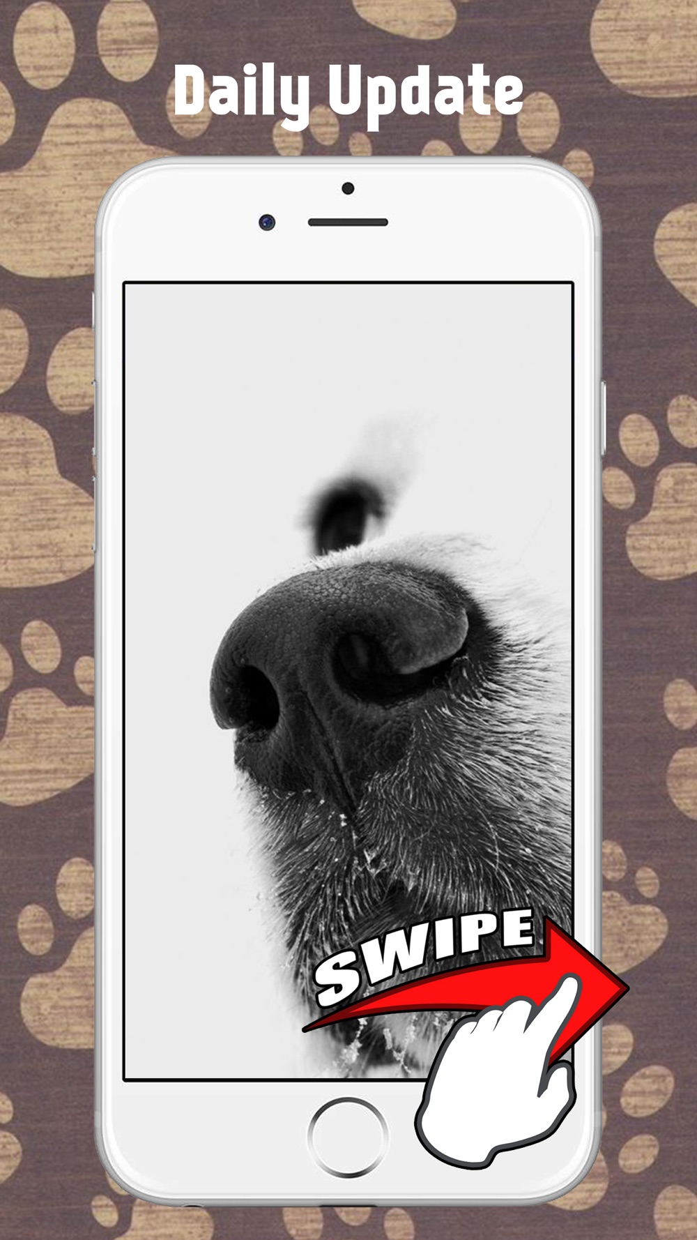 犬の壁紙と背景 Free Download App For Iphone Steprimo Com