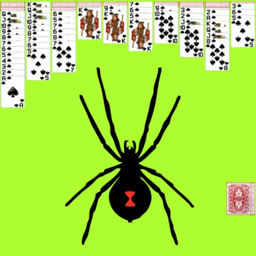 Spider Solitaire Game Icon