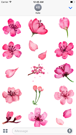 Watercolor Cherry Blossom Sticker Pack