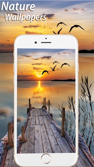 Amazing Natural Wallpapers HD(圖5)-速報App