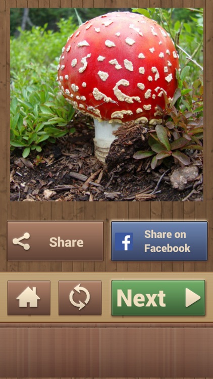 Jigsaw Puzzles - Logical Game for Kids and Adults screenshot-4
