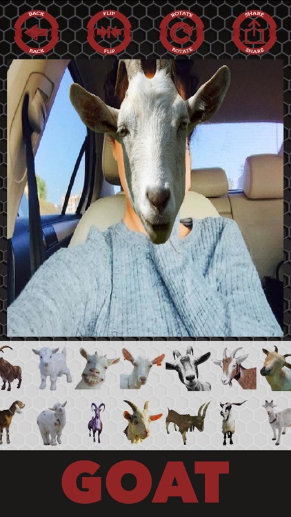 Goat stickers - photo editor goat stickers screenshot-3
