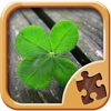 Leaf Puzzle Games - Real Picture Jigsaw Puzzles