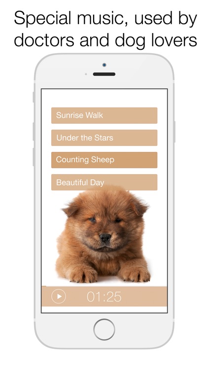 Dog Dreams - relax together with your dog