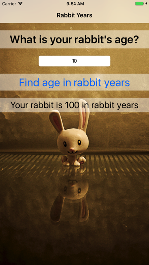 Rabbit Years - Simple Converter For Rabbit Years(圖5)-速報App