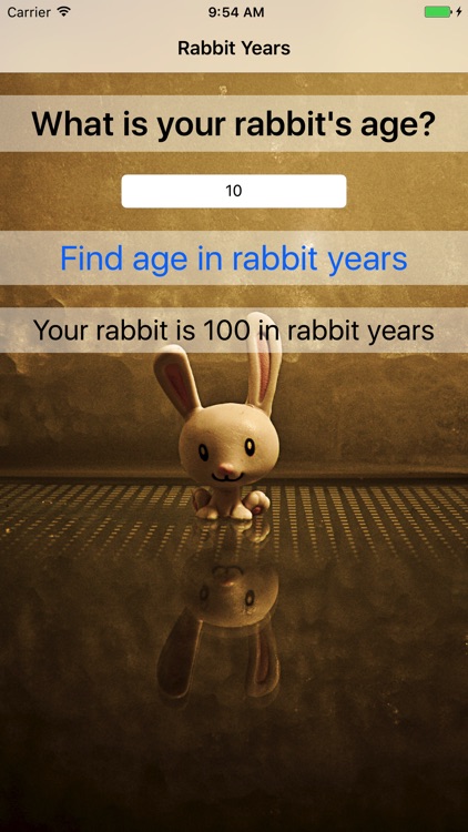 Rabbit Years - Simple Converter For Rabbit Years screenshot-4