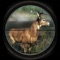 Ultimate Shooting takes the most popular and realistic hunting game to extreme wilderness environments in search of the biggest, most prized game around