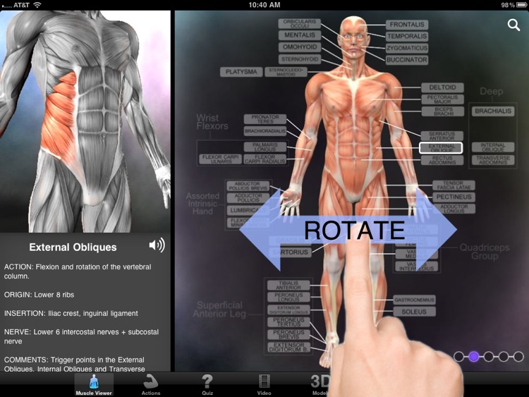 Muscle & Bone Anatomy 3D