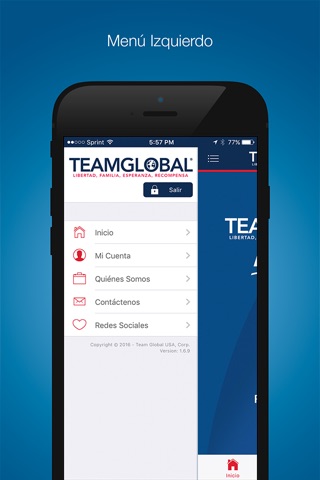 Team Global screenshot 4