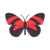Butterflies Stickers - Wonderful Emoji