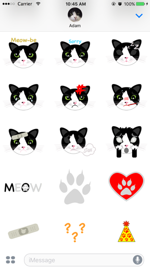 MoMeow Kitty(圖3)-速報App