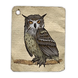 Owls Sticker Pack!