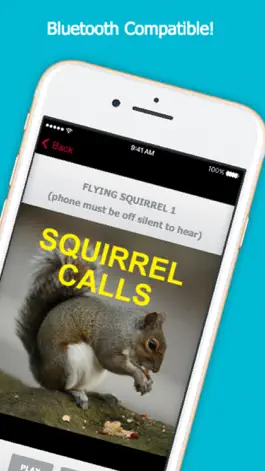 Game screenshot Squirrel Hunting Calls apk