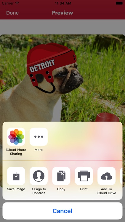 Detroit Hockey Stickers & Emojis screenshot-4