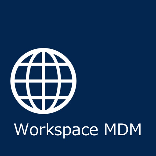 Workspace MDM Browser