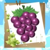Game Beat For Kids Grapes Matching