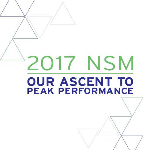 2017 MNK NSM